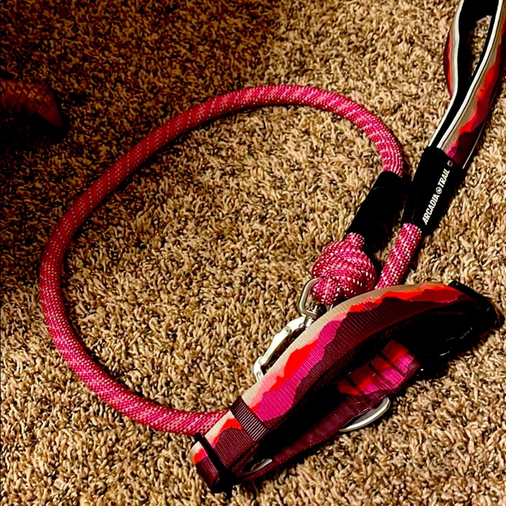 Matching dog collar and leash!